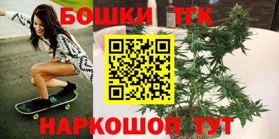 гидра Краснознаменск