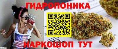 гидра Краснознаменск