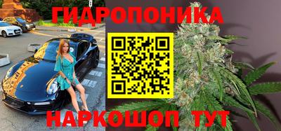 гашик Краснодар