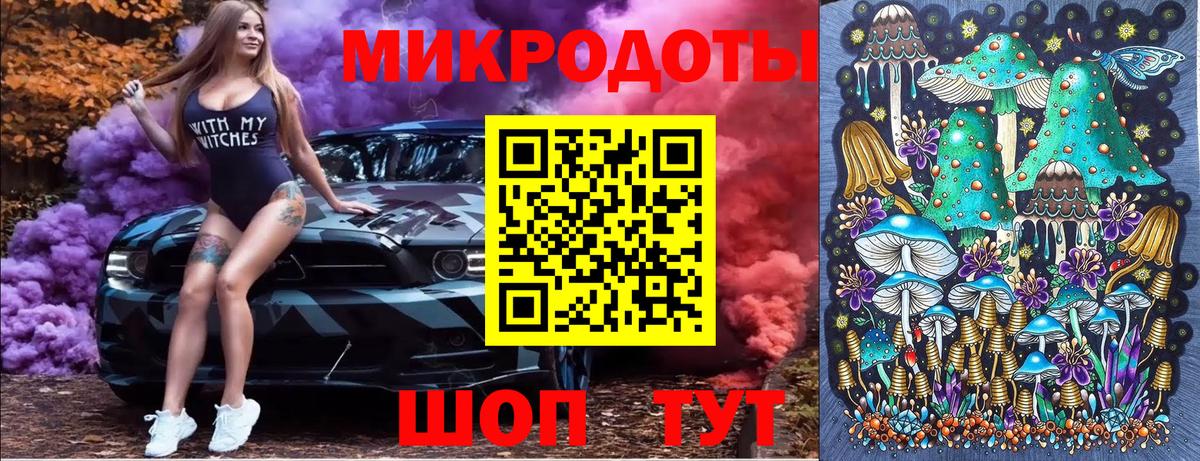 Псилоцибиновые грибы GOLDEN TEACHER  Галлюциногенные грибы GOLDEN TEACHER  Вход с VPN  Владикавказ 